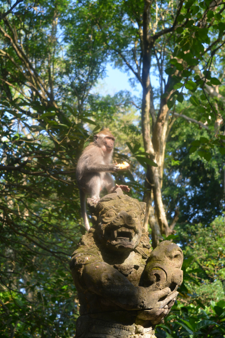 Monkey Forest Ubud Bali www.jaimyskitchen.nl